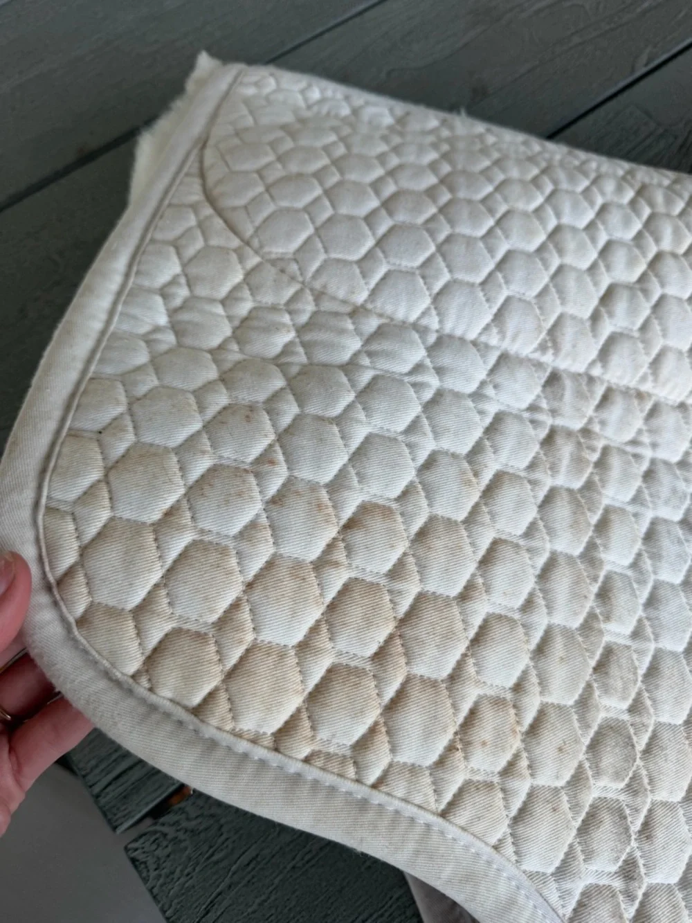 E. A. Mattes GOLD EuroFit Pad with Bare Flaps white with sheepskin size medium - Picture 6 of 7